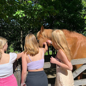 Meet your Posher, Haley